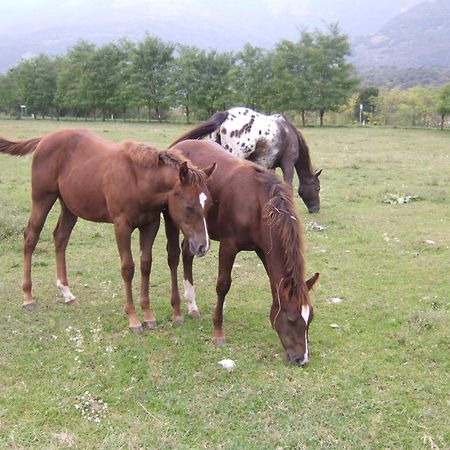Castello dʼAviano Agriturismo Al Ranch מראה חיצוני תמונה