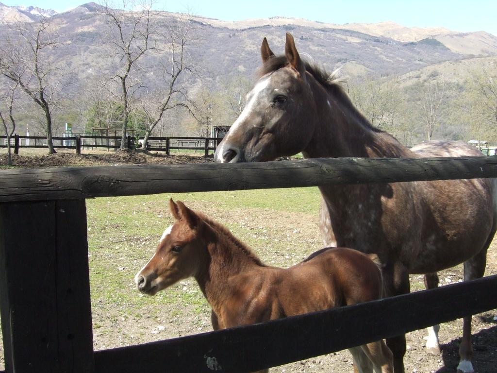 Castello dʼAviano Agriturismo Al Ranch מראה חיצוני תמונה